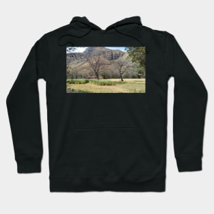 8918 Ranch Hoodie